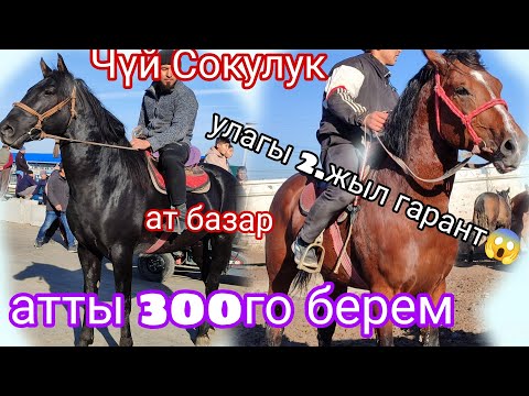 Видео: 20.Октябрь Базар кымбаттап кетти Чүй Сокулукта 350. миң 500 миң деген аттар көбүнчө 🔥🔥