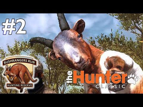 Видео: Шок! Мой первый Дикий козел! Редкий пегий окрас! theHunter Classic #2