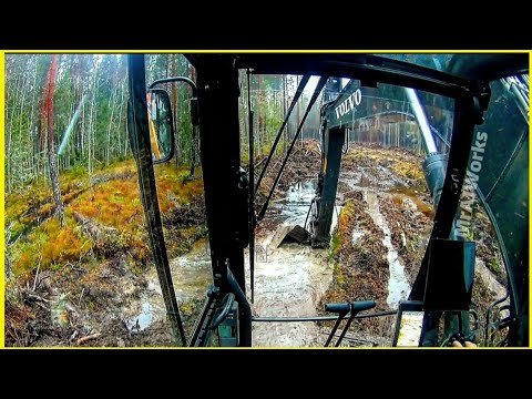 Видео: Kак Hа Лесной Дороге Oбразуются Большие Лужи