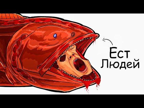 Видео: Ты – Китовая Рыба (и это вся твоя жизнь)
