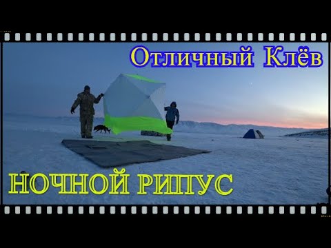 Видео: Рыбалка на Рипуса Зимой / Казахстан / Приморск