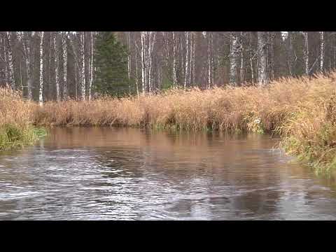 Видео: Ямозеро.3 часть.2019 год.