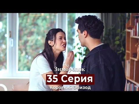 Видео: Зимородок 35 Cерия (Короткий Эпизод) (Русский дубляж)