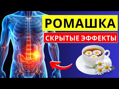 Видео: ИСПОЛЬЗОВАНИЕ РОМАШКИ ВЫЗЫВАЕТ ЭТИ ЭФФЕКТЫ НА ВАШ ОРГАНИЗМ