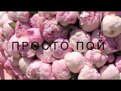 Видео: Просто пой..