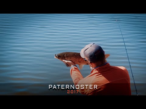 Видео: Карп и амур в апреле на фидер!! Патерностер. Первый Сезон 2017. Серия 4.