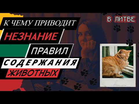 Видео: Законы о содержании животных в Литве и что бывает, если их не соблюдать
