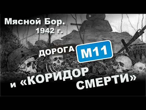 Видео: Мясной Бор. 1942 г. Дорога М11 и "коридор смерти".