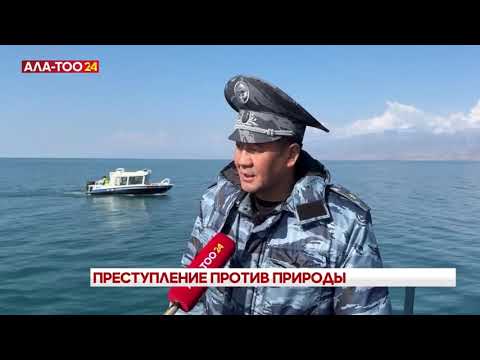 Видео: 🚨Милиция продолжает борьбу с браконьерством на озере Иссык-Куль