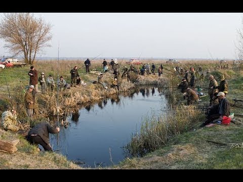 Видео: #9 Необычные случаи на рыбалке!