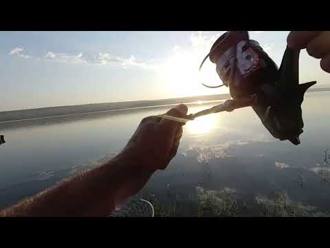 Видео: Егорлыкское водохранилище 1.08.22