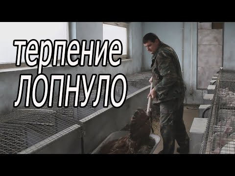 Видео: Живые бактерии перестали работать!
