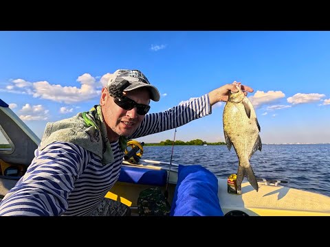 Видео: Рыбалка на кольцо на Волге. Эти ЛЕЩИ не вмещаются в садок!