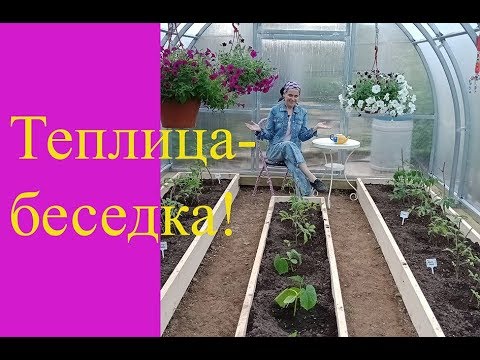 Видео: Посадки в новой теплице