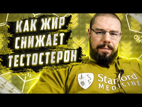 Видео: Похудение и повышение тестостерона | Поможет ли снижение жира повысить тестостерон?