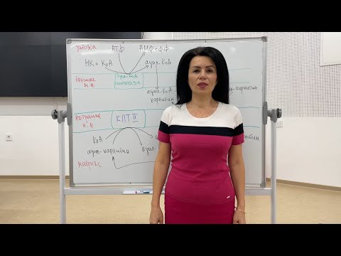 Видео: Окисление на мастни киселини / Fatty acids oxidation