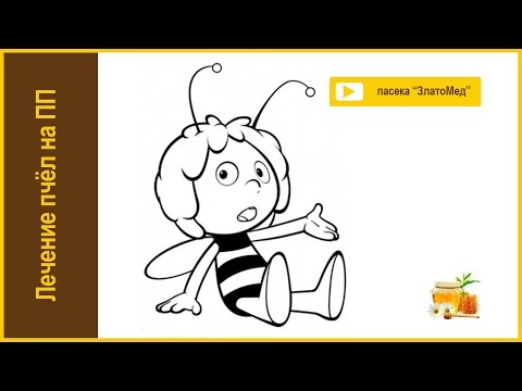 Видео: Блок №8. Профилактика и лечения болезней пчел на промышленной пасеке