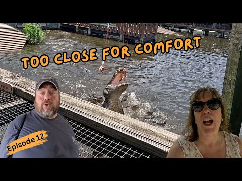 Видео: Тур Gatorland Orlando: аллигаторы, приключения и семейный отдых!