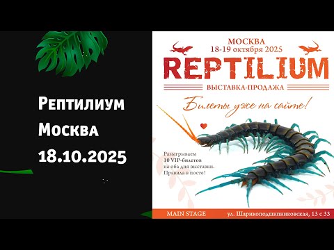 Видео: Рептилиум. Москва 18 октября 2025г
