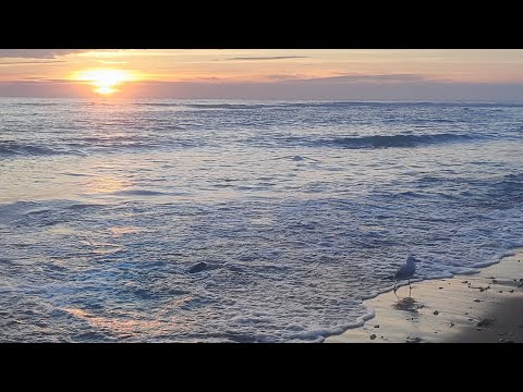 Видео: Він з нами назавжди!