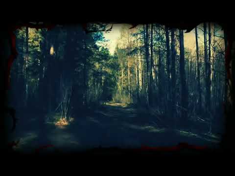 Видео: ТОП -3 Истории про ведьм | Страшные обряды  Дневник историй | Ведьма | Обряды  WITCH | Diary of