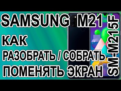 Видео: Как разобрать, как поменять дисплей на телефоне Samsung M21 SM-M215F/DSN