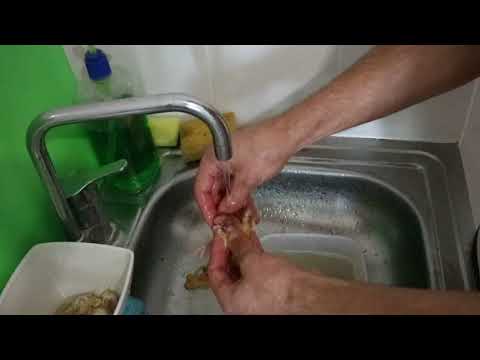 Видео: Подготовка суточных цыплят на корм животным...