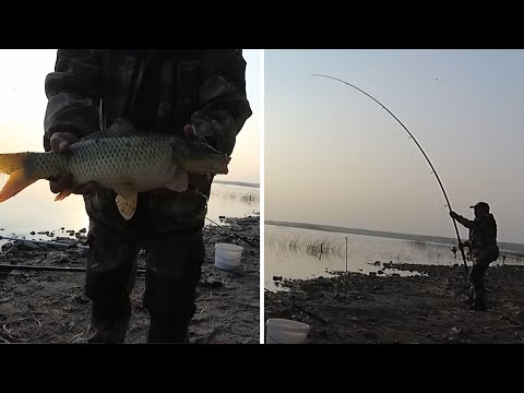 Видео: КАРП ЛИНЬ  ОЗ. КАЛДЫ ЧЕЛЯБИНСКАЯ ОБЛ.