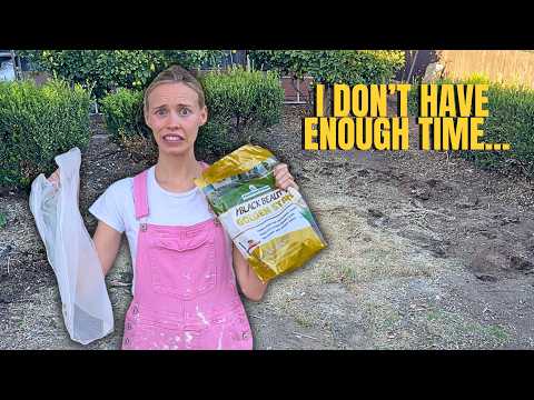 Видео: Ремонт дома моих родителей к вечеринке по случаю помолвки: часть 2