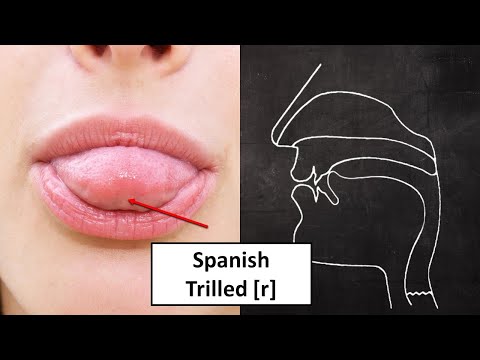 Видео: Лучшее видео с [r] на сегодняшний день!