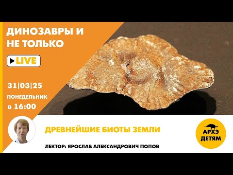 Видео: Занятие "Древнейшие биоты Земли" кружка "Динозавры и не только" с Ярославом Поповым
