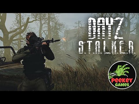 Видео: 🛑 СТРИМ "Обновка" (сервер STALKER PVE Quant) DayZ