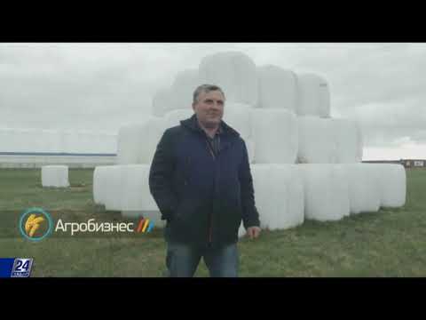 Видео: Что мешает казахстанцам пить молоко отечественного производства?