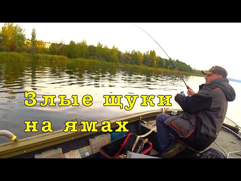 Видео: ЩУКА из под ЛЕЩА. Рыбалка с подписчиком.