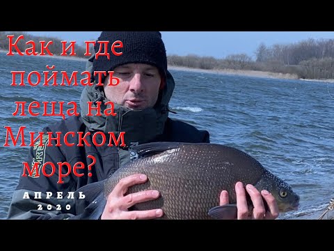 Видео: Как и где поймать леща на Минском море? Лещ 2020 на Минском море в апреле