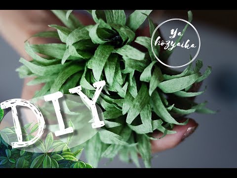 Видео: Зелень 🌿 из гофрированной бумаги для букетов из конфет. DIY💡. Подходит для любых букетов👌🏻👍🏻