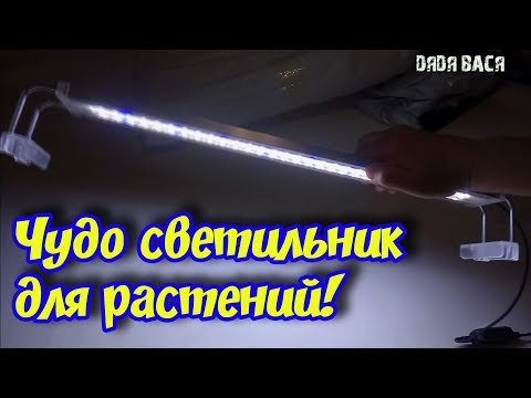 Видео: СВЕТОДИОДНЫЙ СВЕТИЛЬНИК ДЛЯ АКВАРИУМА SUNSUN ИЗ КИТАЯ! ОБЗОР, ТЕСТ, МОНТИРОВАНИЕ В КРЫШКУ, СРАВНЕНИЕ