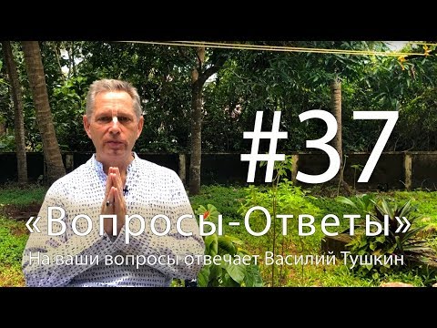 Видео: "Вопросы-Ответы", Выпуск #37 - Василий Тушкин отвечает на ваши вопросы