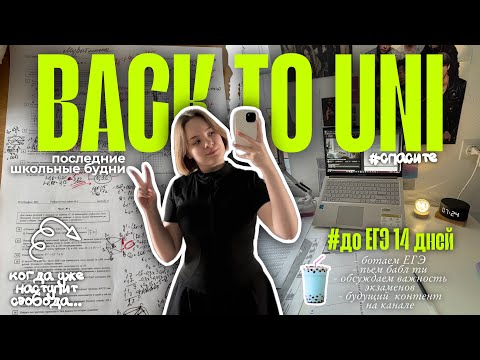 Видео: ГОТОВЛЮСЬ К ЕГЭ | последние недели в школе, много вебов и теории, ботаем по 4 часа