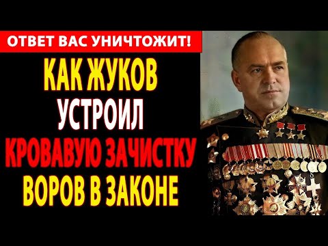 Видео: И СТАЛИН замолчал — ЖУКОВ против АВТОРИТЕТОВ криминала: 180 ликвидированных за сутки!