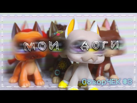 Видео: LPS - ОбзорЧЕК #3 | Обзор на всех моих на догов