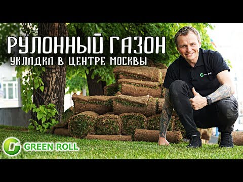 Видео: Как уложить рулонный газон. Укладка рулонного газона в Москве