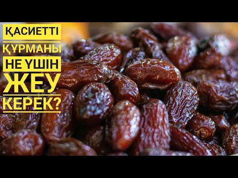 Видео: ҚҰРМА НЕ ҮШІН ПАЙДАЛЫ?