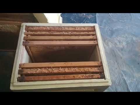 Видео: ульи из пенополиуретана, пресс-формы