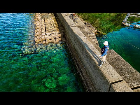 Видео: Этот волнолом облегчает ловлю дорогих кальмаров.