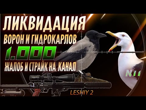 Видео: Ликвидация Вредителей № 11. Жалобы на канал.  Crow Hunting 2023. Кроухантинг. Jack Hunter.