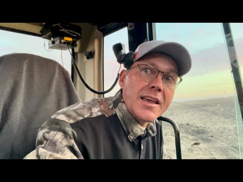 Видео: Дуго ищет движение… на фермерском поле?!