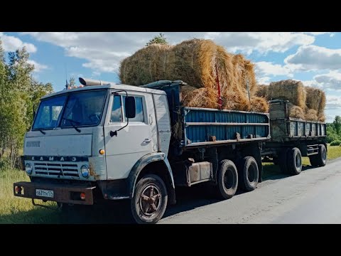 Видео: Возим сено на Камазе. Сезон 2021