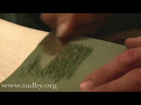 Видео: Окулировка плодовых деревьев и кустарников: тренируемся дома. Прививка плодовых деревьев - 13