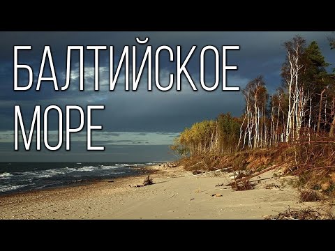 Видео: Балтийское море: Самое молодое и несоленое море на планете | Интересные факты про Балтийское море